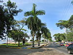 Avenida Balboa que se estira a lo largo del golfo