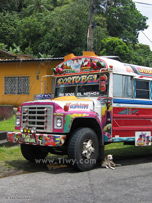 Multicoloured buses of Portobelo