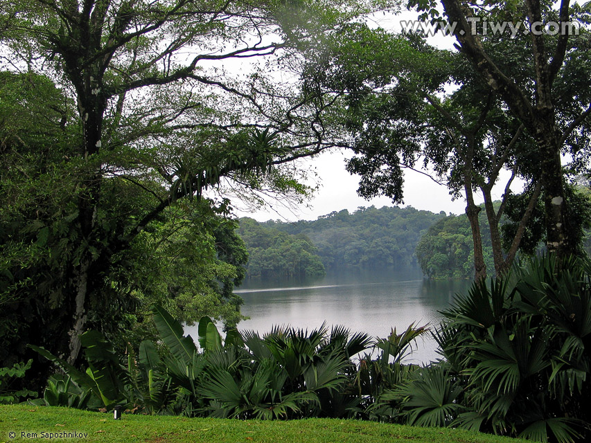 Bella naturaleza cerca de Escuela de las Amricas