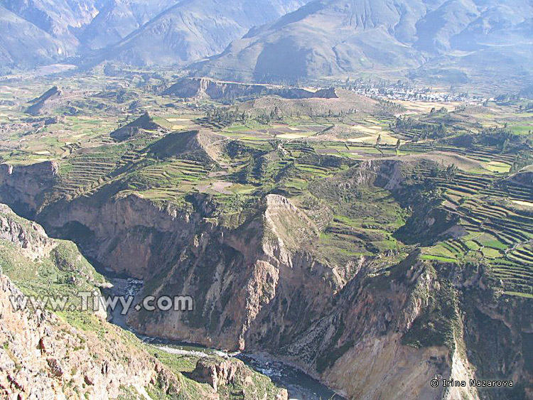 The Colca canyon