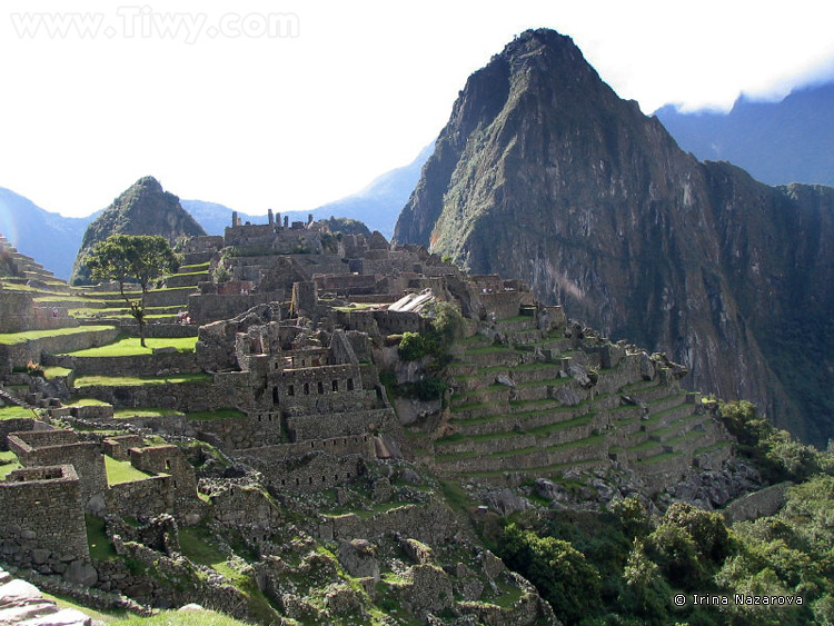 Machu Picchu