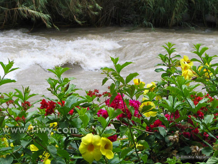 The Cañete river