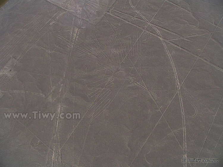 Nazca figures - El Condor