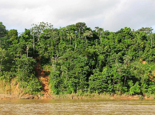 In the midday Tambopata looks like that