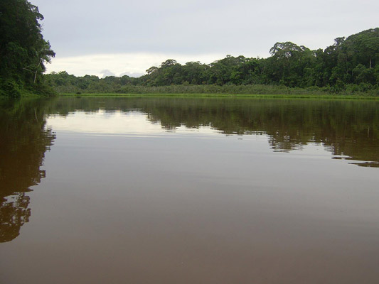 Tambopata closer to the evening