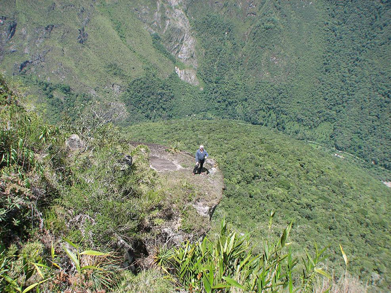 Endless green mass of selva, as any sea, calms you down