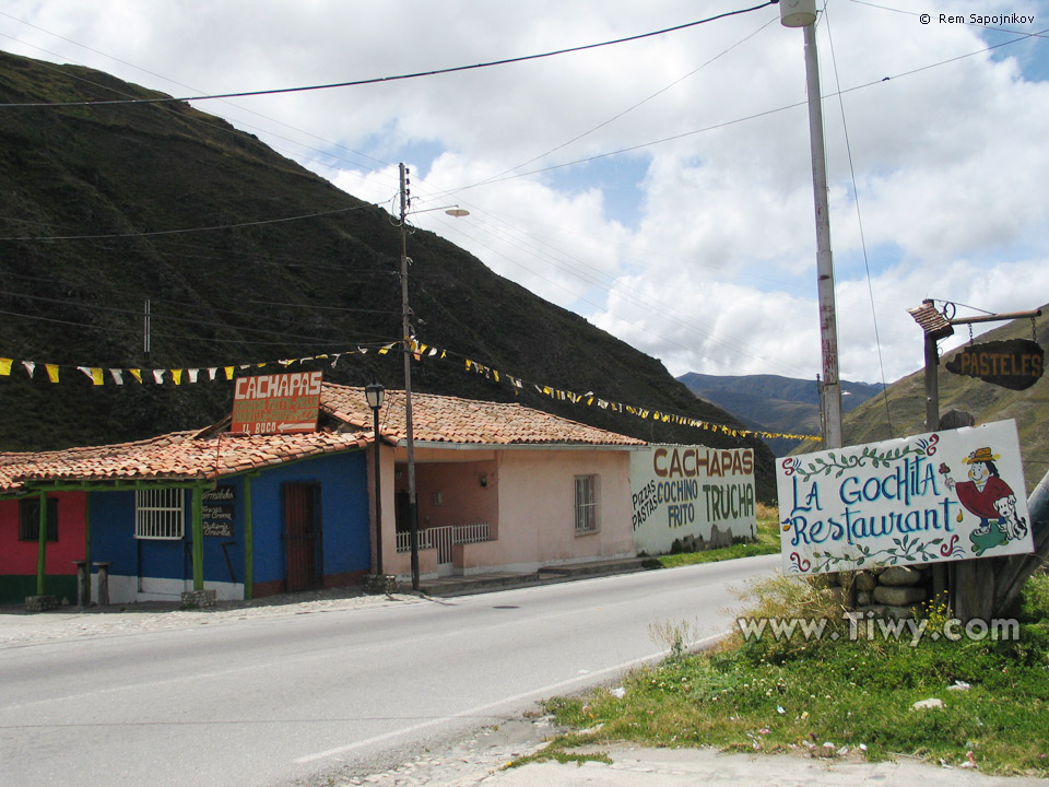 La Gochita