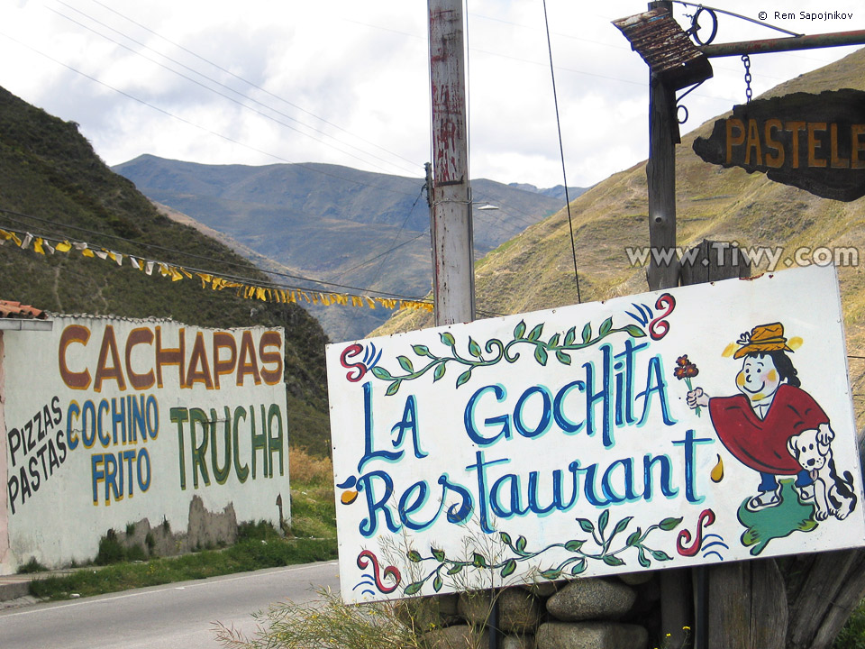 La Gochita