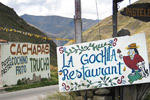 La Gochita