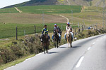 Carretera Trasandina