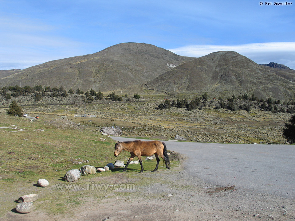 National park Sierra Nevada