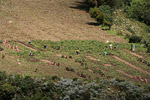 De todos los productos de agricultura el region es sobre todo famoso por las patatas