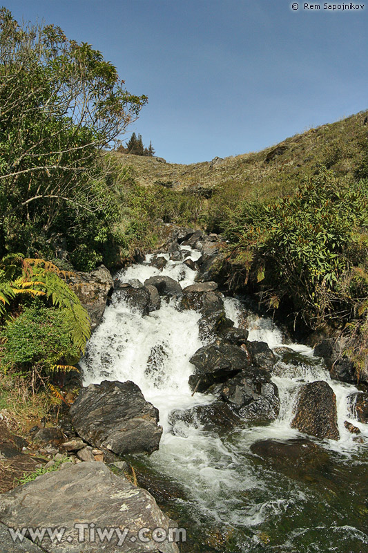 Fast river Santo Domingo