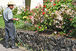 Gardener near the Hotel Santo Domingo, Merida, Venezuela