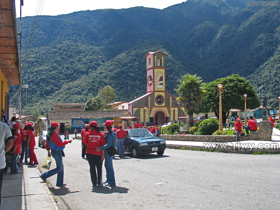 Los partidarios de la Revolucion Bolivariana