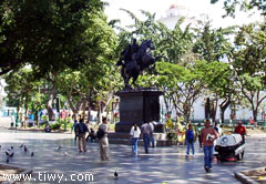 От нашествия «буонерос» в центральной части города спаслась только площадь Боливара
