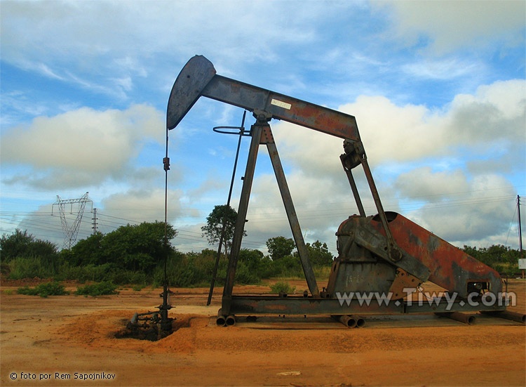 It is there that the black gold is produced.