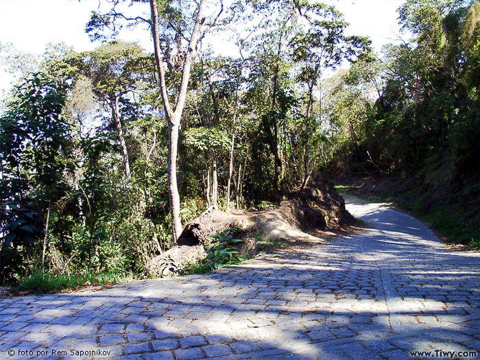 El Avila National Park - Venezuela, January, 2003