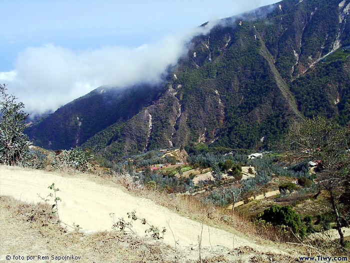 El Avila National Park - Venezuela, January, 2003