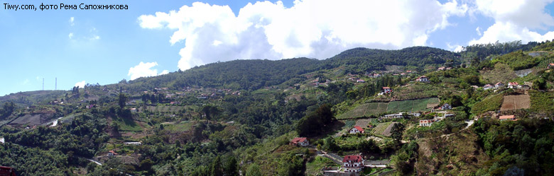 Colonia Tovar, Venezuela