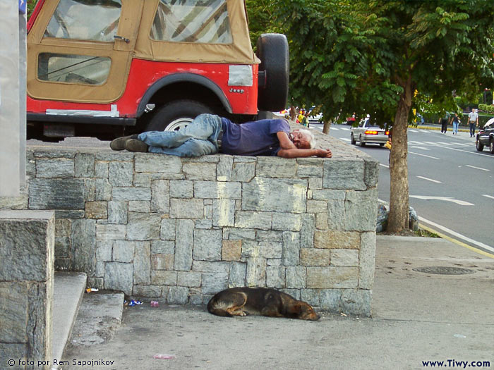 Amigos echando la siesta