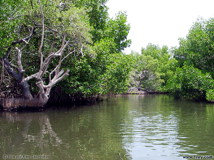 Parque Nacional Laguna La Restinga