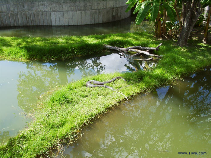 Parque del Este, Caracas