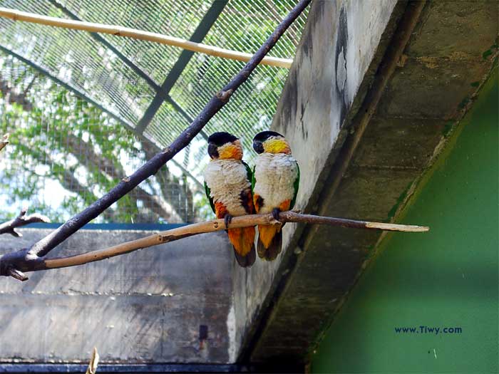 Parque del Este, Caracas