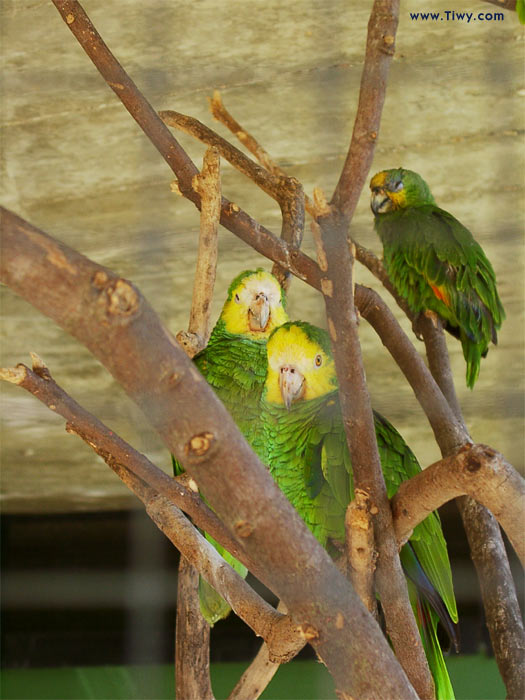 Parque del Este, Caracas