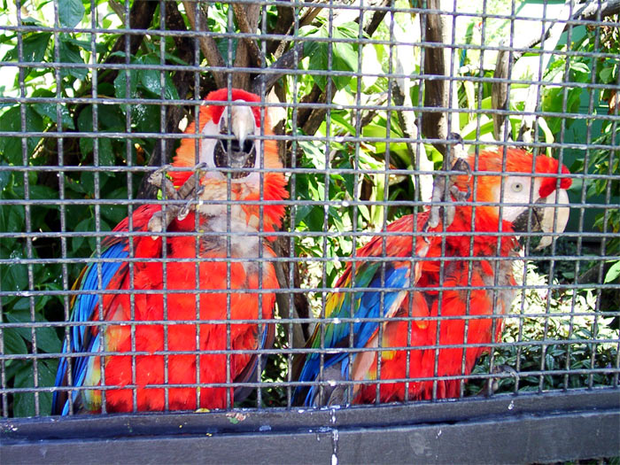 Parque del Este, Caracas