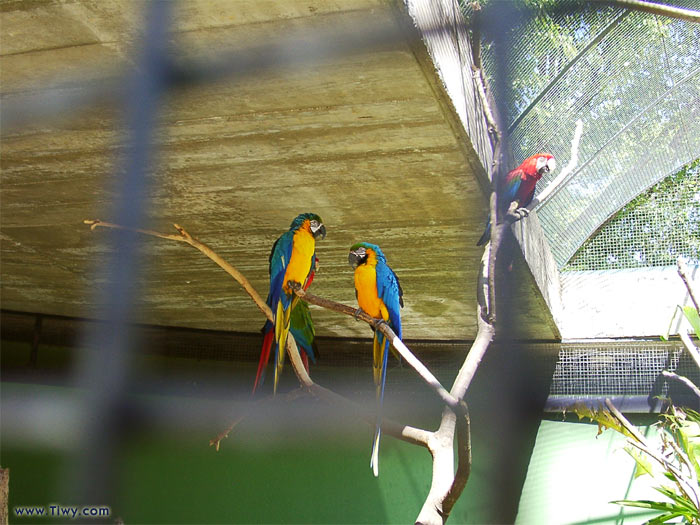 Parque del Este, Caracas