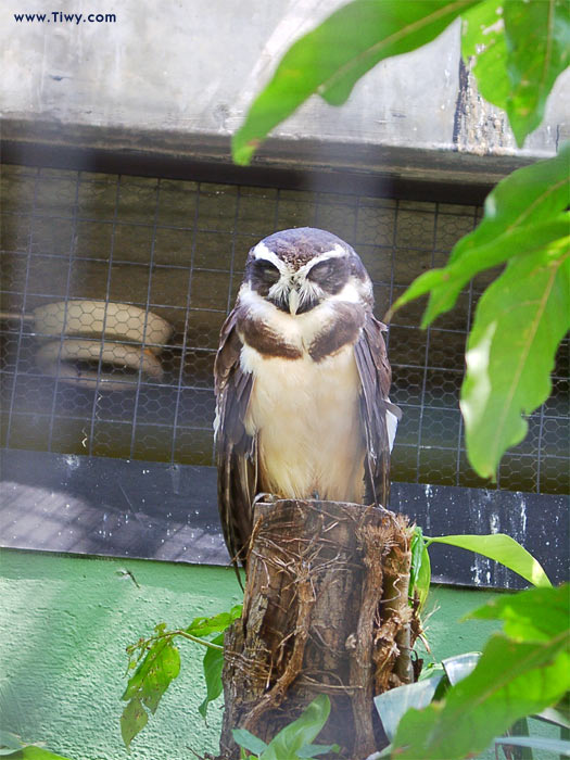 Parque del Este, Caracas