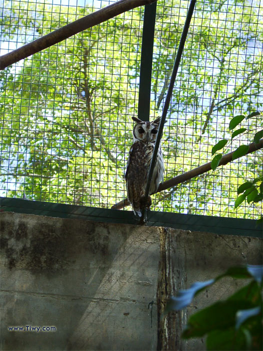 Parque del Este, Caracas