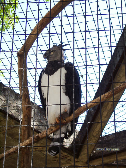 Parque del Este, Caracas