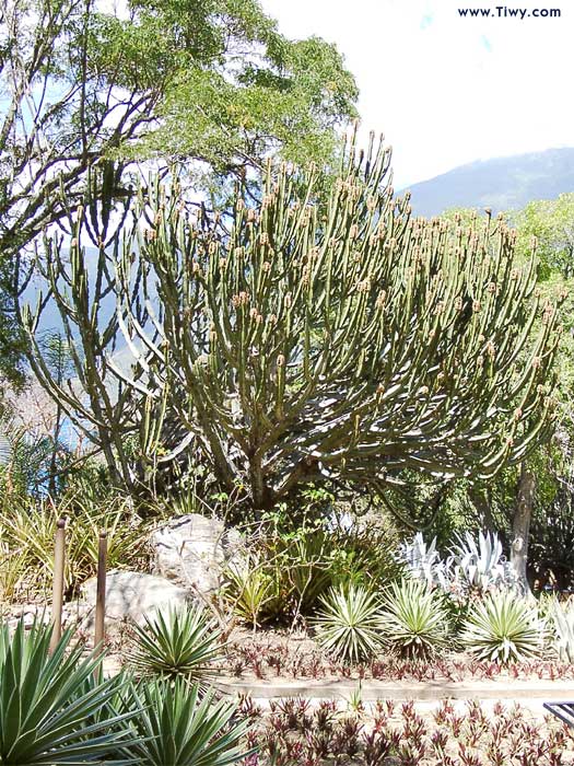 Parque del Este, Caracas