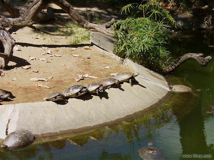 Parque del Este, Caracas