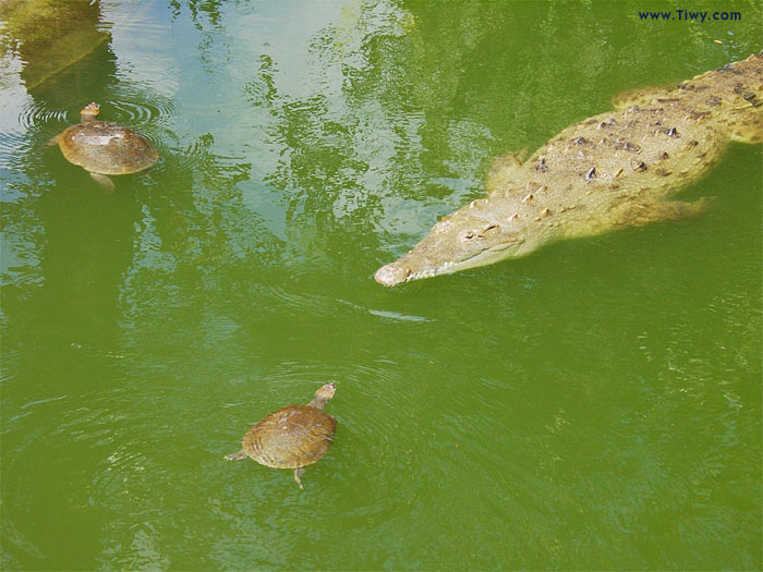 Parque del Este, Caracas