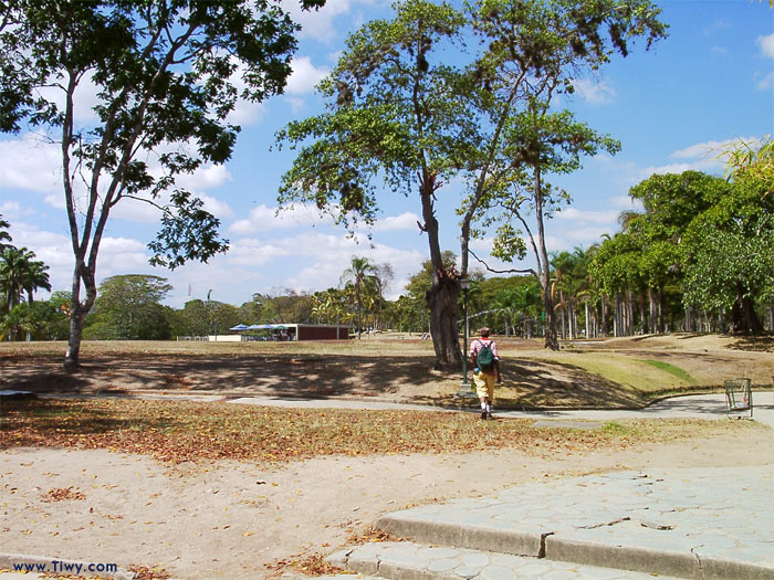 Parque del Este, Caracas