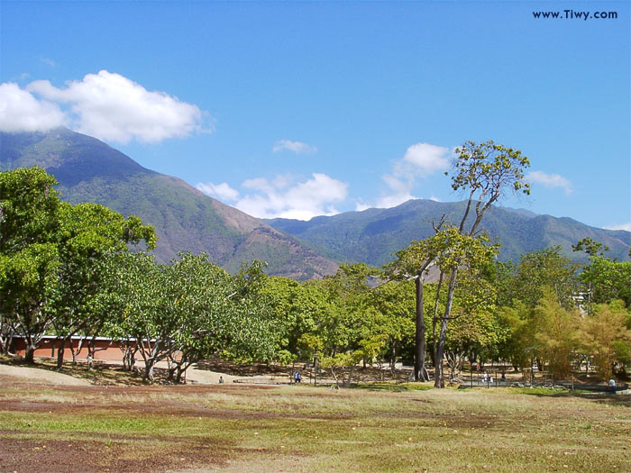 Parque del Este, Caracas