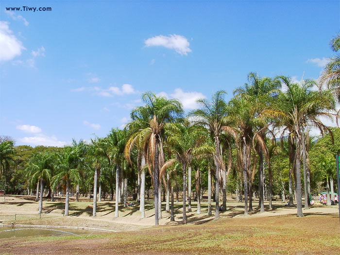 Parque del Este, Caracas