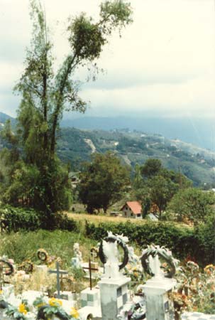 Colonia Tovar. Cementerio local.