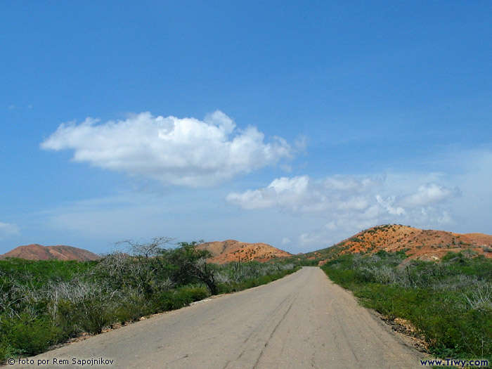 El verde-amarillo del paisaje de la peninsula. 