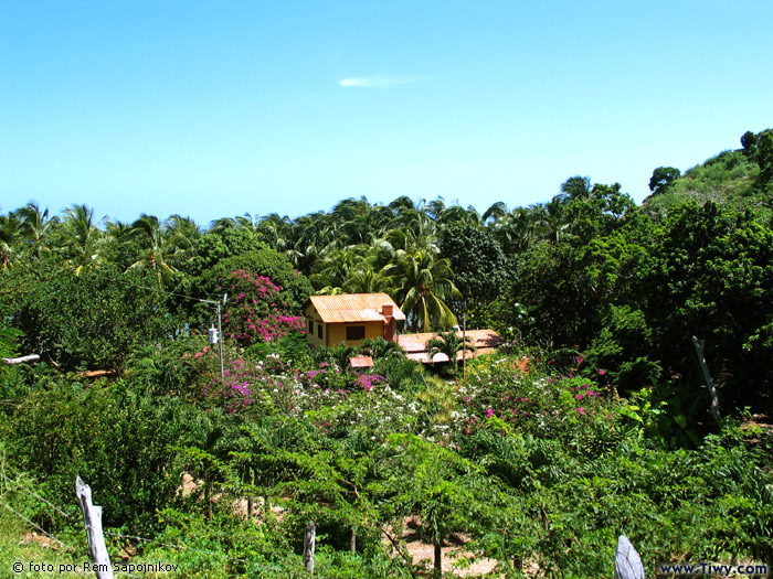 Araya Peninsula