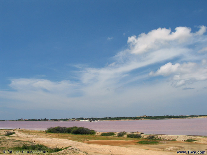 Salinas de Araya