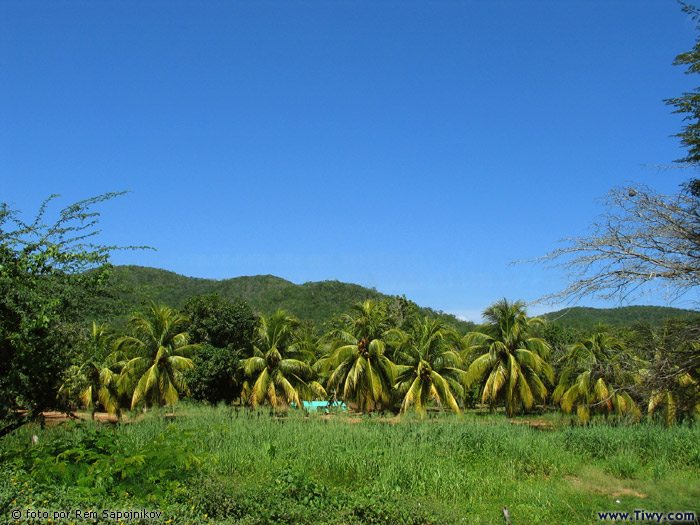 Peninsula Araya