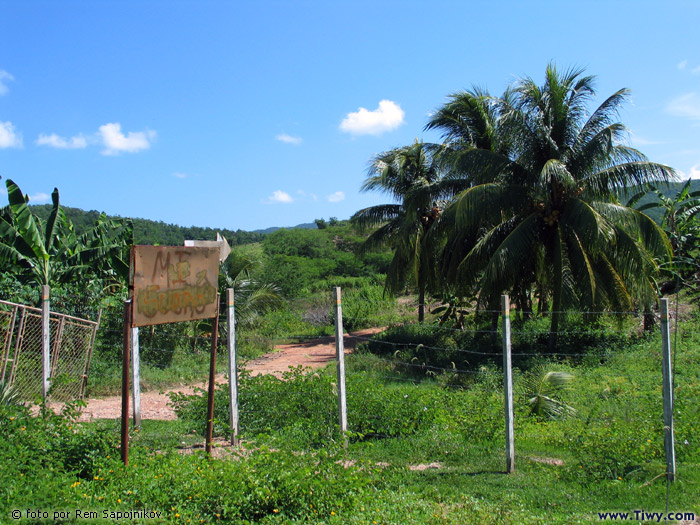 Araya Peninsula