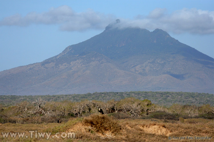 Paraguana, Santa Ana mountain