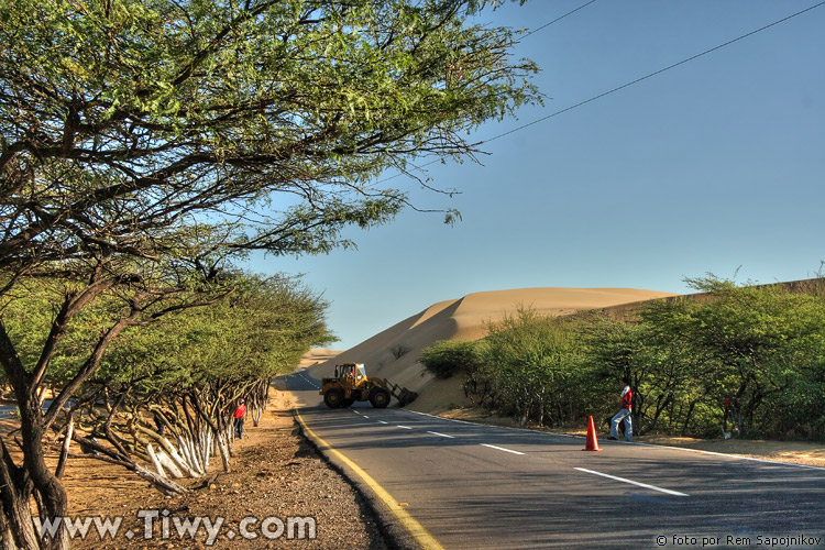 Los Medanos