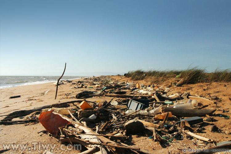 A continuous band of various rubbish