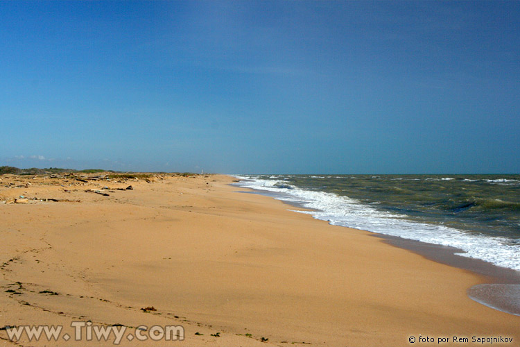 Natural beaches of Paraguana